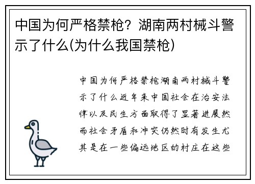 中国为何严格禁枪？湖南两村械斗警示了什么(为什么我国禁枪)
