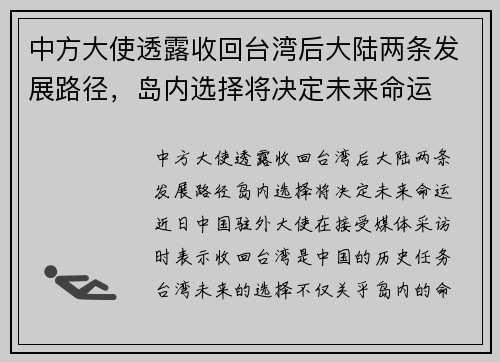 中方大使透露收回台湾后大陆两条发展路径，岛内选择将决定未来命运