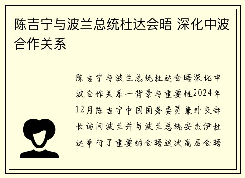 陈吉宁与波兰总统杜达会晤 深化中波合作关系