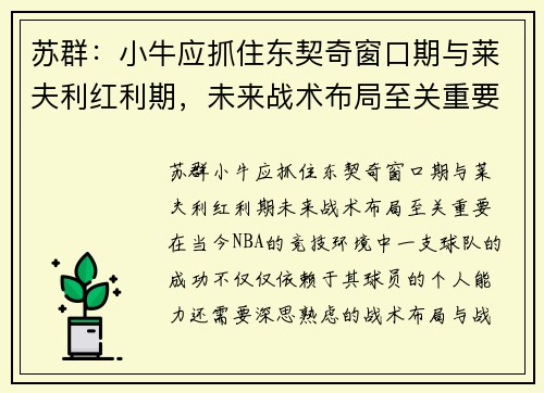 苏群：小牛应抓住东契奇窗口期与莱夫利红利期，未来战术布局至关重要
