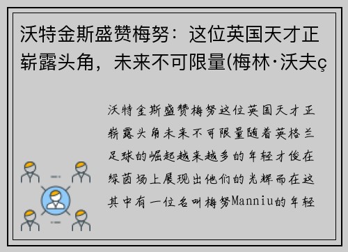 沃特金斯盛赞梅努：这位英国天才正崭露头角，未来不可限量(梅林·沃夫特)